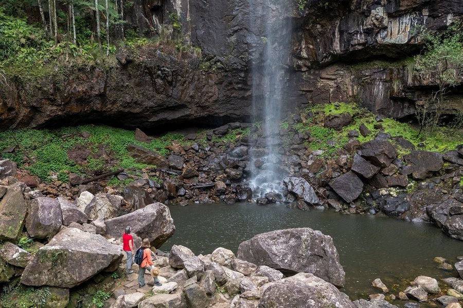 Protesters Falls